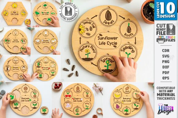 Life Cycle Puzzles Laser Cut Bundle for Educational and Nature-Themed Blog Design